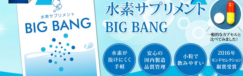 ���f�������ɂ������f�T�v�������gBIG BANG���T�C�g